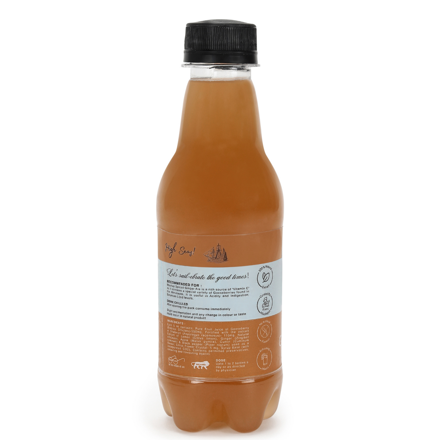 Spiced Ginger Ale | Premium Cocktail Mixer | Ready to Drink Mocktail | No Artificial Flavors | 100% Natural Ingredients
