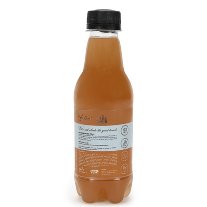 Spiced Ginger Ale | Premium Cocktail Mixer | Ready to Drink Mocktail | No Artificial Flavors | 100% Natural Ingredients